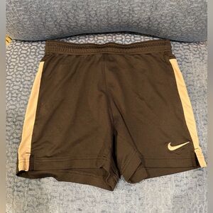 Nike Black Dri-Fit Shorts